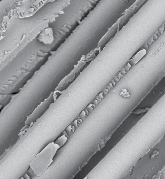 Glass fiber coated in a 10 nm gold layer at 2x magnification.