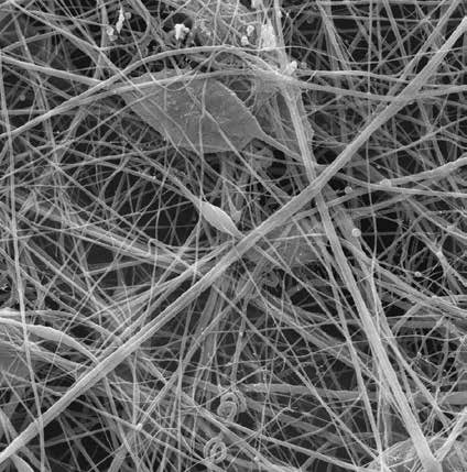 SEM Imaging of Nanofibers Using Sputter Coating
