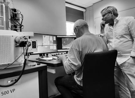 Digging deep into the secrets of metallography with the Zeiss Sigma 500 VP FE-SEM