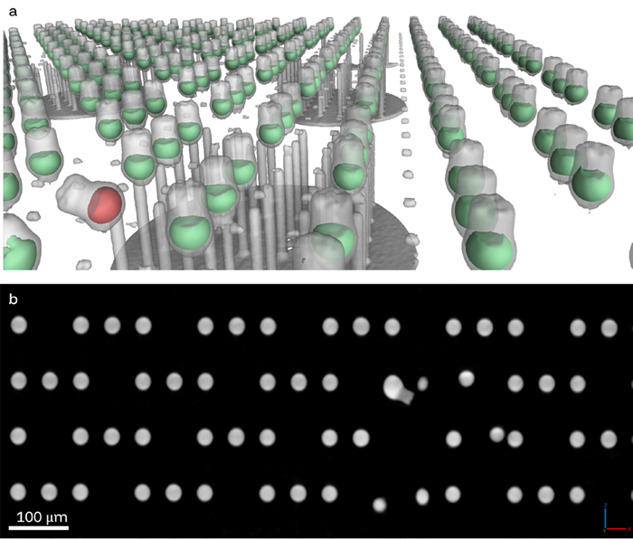 Example of solder ball misalignment in HBM: (a) 3D volume rendering, with the misaligned solder ball highlighted in red; (b) XZ orthogonal slice showing the defective solder ball