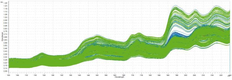 NIR spectra of milk powder samples. Data was obtained with an OMNIS NIR Analyzer. Spectra shown in blue have been used to calibrate the model, while green spectra have been used for validation.