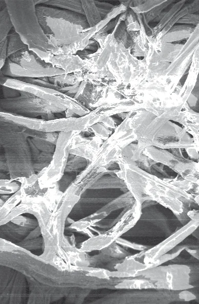 About Sputter Coating Thickness and Visual Appearance