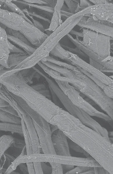 About Sputter Coating Thickness and Visual Appearance