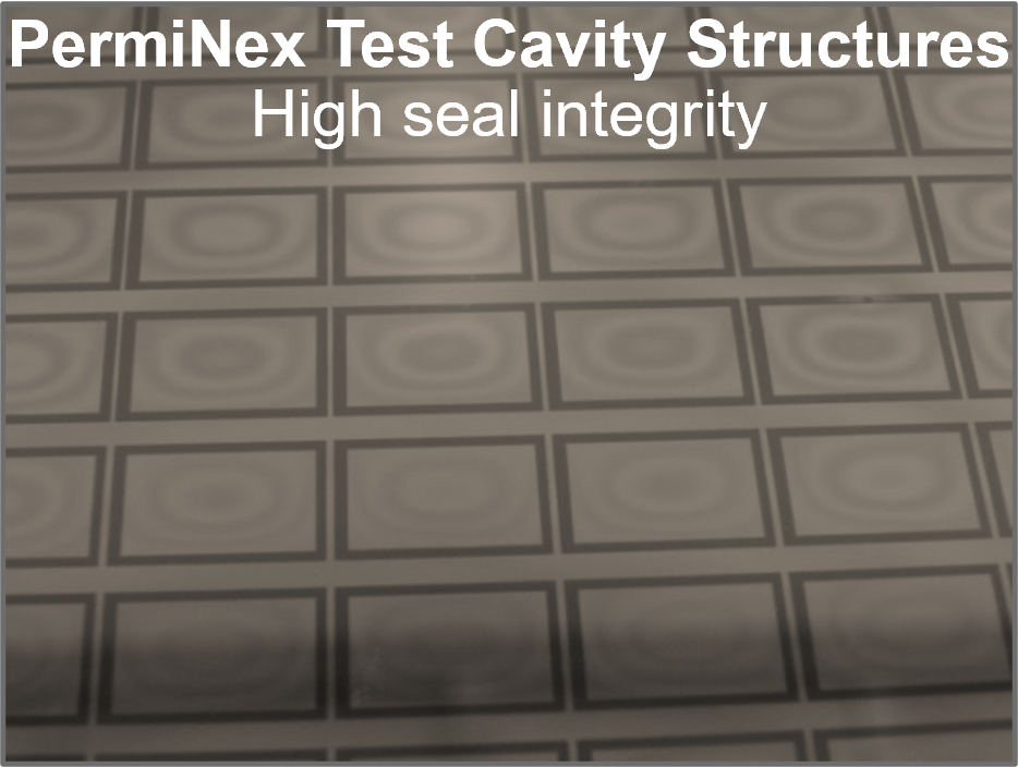 Test cavity structure bonded using PermiNex maintains vacuum seal due to strong bond