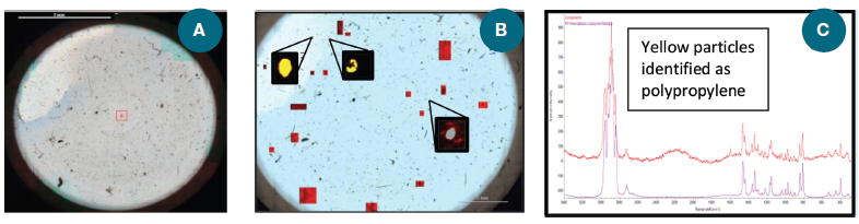 An example of microplastics analysis using the DXR2xi Raman microscope.