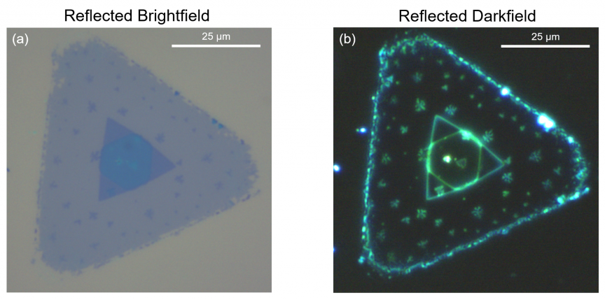 (a) Reflected brightfield and (b) reflected darkfield imaging of the WSe2 crystal.