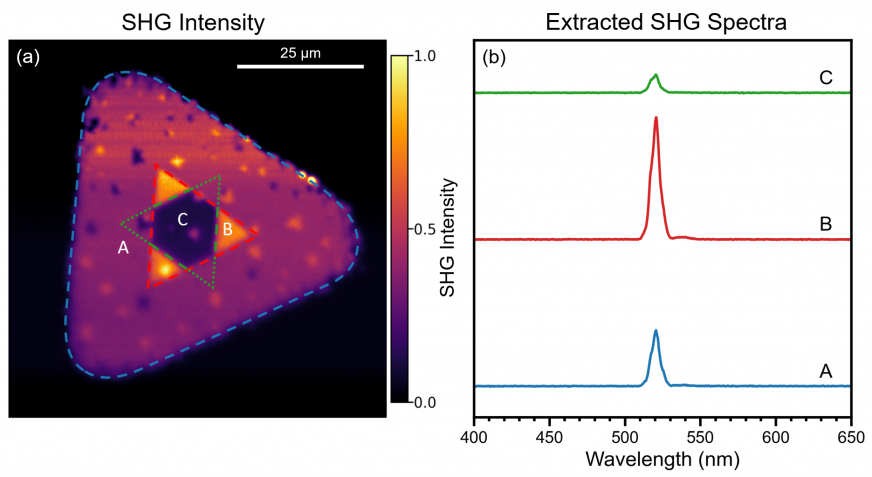 Second Harmonic Generation imaging of WSe2.