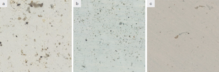 Examples of mosaic or count field: a) in permafrost sample, b) in soil sample, c) in seawater