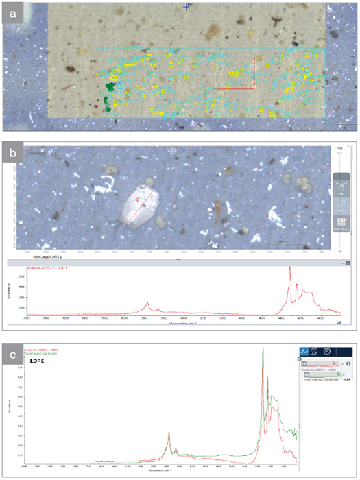 A visual mosaic obtained from wet deposition samples analyzed (a) on Anodisc filters; (b) a visual of an unknown sample and its spectrum; (c) library spectra of LDPE