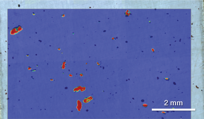 Silicon filter collected with microplastics analyzed with area mapping. Red regions are particles of PE correlated to the entire map