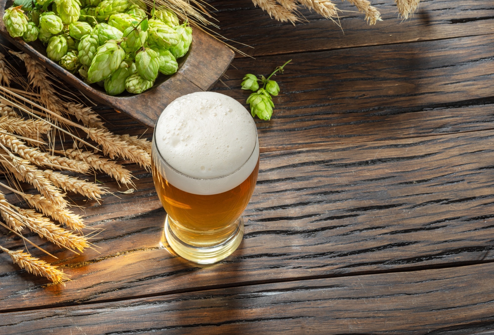 beer glass from above