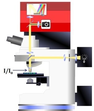 Optical diagram of a microspectrophotometer configured for incident illumination