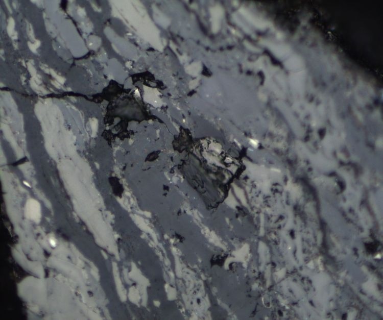 Coal sample prepared for vitrinite reflectance analysis