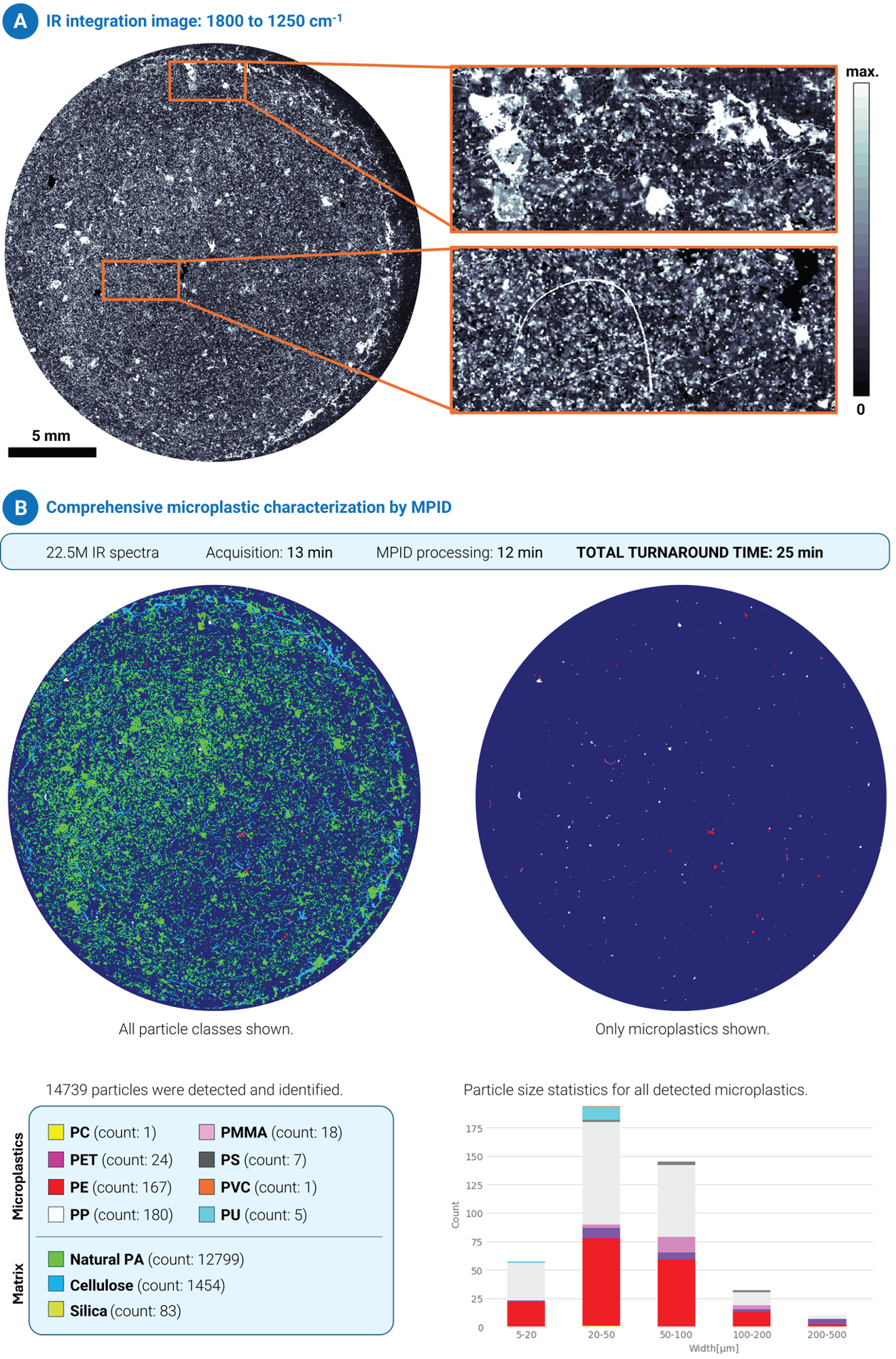 Comprehensive results summary for the wastewater sample