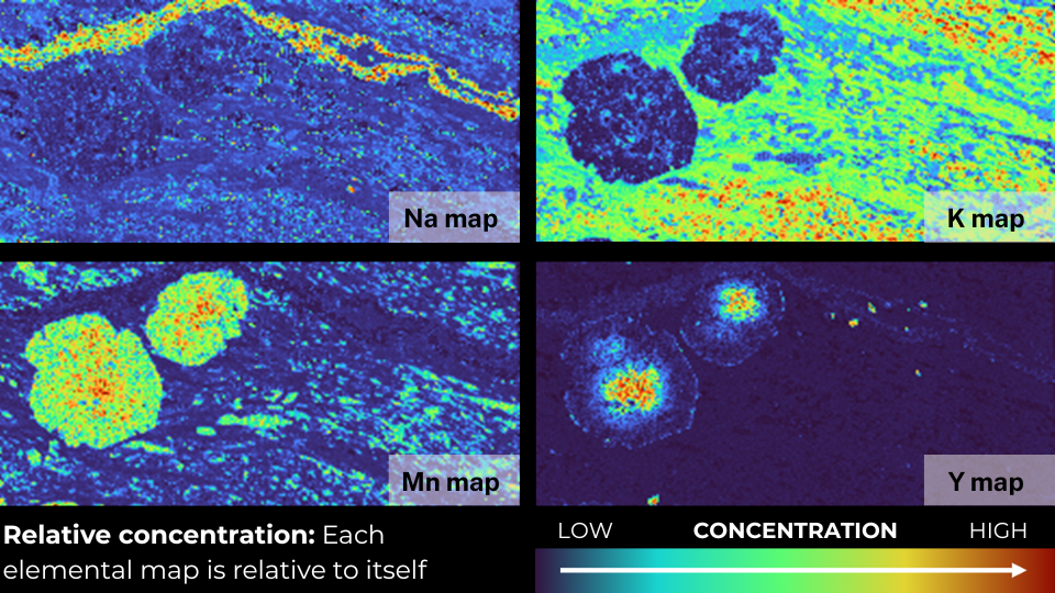 Elemental maps of essential elements