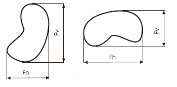 Example of the variance possible with simple calliper measures such as Feret