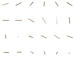 Rod-like particle shown in various orientations in 3- dimensional space.