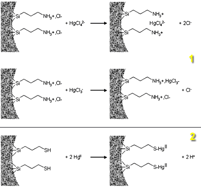 AZoJoMo – AZoM Journal of Materials Online : Scheme of the binding reaction of Hg(II) to the protonated amine and to the thiol groups; (1) the accumulation of negatively charged chloro-complexes of HgII (HgCl42-and HgCl3-) by electrostatic binding to the protonated amine groups on APS samples, and (2) the preconcentration of HgII species by complexation on thiol groups immobilized on MPS samples.