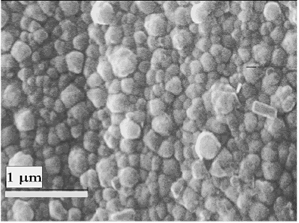 AZoM - Online Journal of Materials - SEM micrograph of a BaTiO3 film made by the localized hydrothermal method (vertical position).