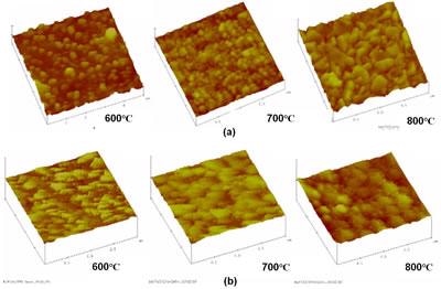AFM micrographs of the “as coated” BT thin films sintered at 600, 700 and 800°C of a)BaTiO3/ITO-2min/Si(111) and b) BaTiO3/ITO-1min/Si (111).