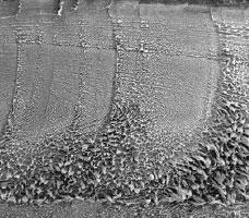 The sensor jacket fracture surface shows signs of alternating crack and arrest sequences (SEM Original Mag. 20X).