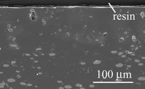 AZoJomo - The AZO Journal of Materials Online - Cross-section of Ni/MgO oxidized at 1300ºC for 1 d in air