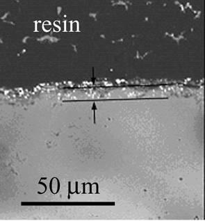 AZoJomo - The AZO Journal of Materials Online - Cross-section of Ni/MgO with a ZrO2 marker oxidized at 1300ºC for 2 d in air