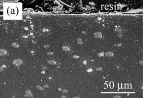 AZoJomo - The AZO Journal of Materials Online - Cross-section of Ni/Al2O3 oxidized at 1300ºC for 1 d in air. (a) low magnification and (b) high magnification near the surface.