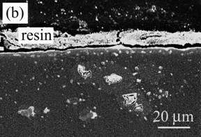 AZoJomo - The AZO Journal of Materials Online - Cross-section of Ni/Al2O3 oxidized at 1300ºC for 1 d in air. (a) low magnification and (b) high magnification near the surface.