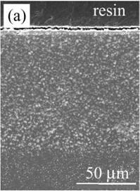 AZoJomo - The AZO Journal of Materials Online - Cross-section of nano-Ni/Al2O3 oxidized at 1300ºC for 1 d in air. (a) low magnification and (b) high magnification near the surface.
