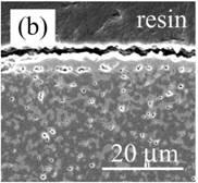 AZoJomo - The AZO Journal of Materials Online - Cross-section of nano-Ni/Al2O3 oxidized at 1300ºC for 1 d in air. (a) low magnification and (b) high magnification near the surface.