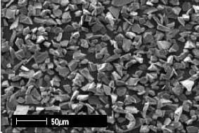 SEM image of sharp shaped grains.