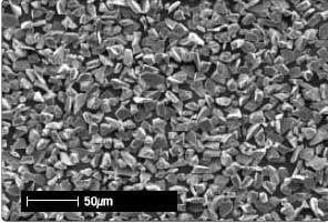 SEM image of compact shaped grains.