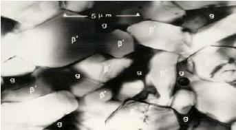 Micrograph showing the microstructure of Syalon 101. The fine beta-sialon (ß) grains surround small pockets of glass (g).