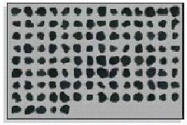 Black toner produced by a pulverisation process.