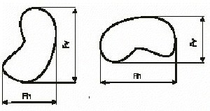 Example of the variance possible with simple calliper measures such as Feret