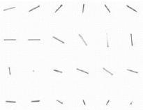 Rod-like particle shown in various orientations in 3-dimensional space. Presented to image analysis software this one particle without control of its orientation produces the size and shape distributions shown in Figure 5.