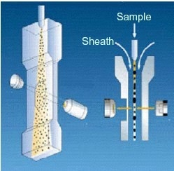 Illustration of the hydrodynamic focusing system employed by the FPIA-3000.