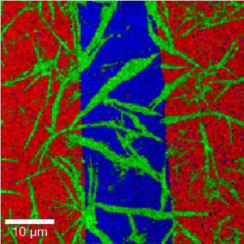 Color-coded confocal Raman image of a 7.1 nm PMMA layer (red) and a 4.2 nm contamination layer (green) on glass (blue). 200 x 200 spectra, 7 ms integration time/spectrum. Total acquisition time 5.4 minutes.