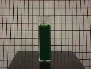 4.5 wt.% organic green pigment