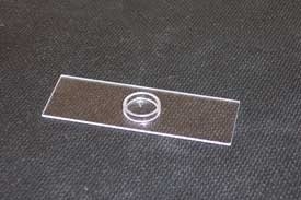 Quartz well slide used in experiments.