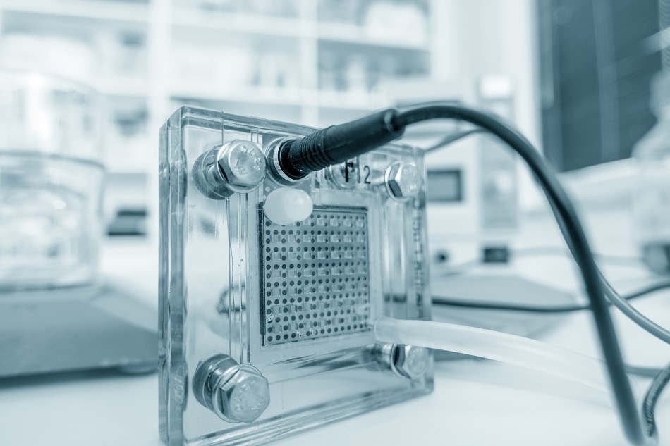 fuel cell