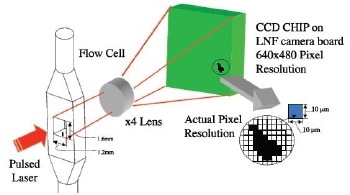 Basic Operation of LNF-C