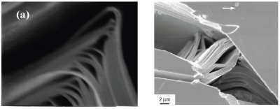 a) Typical scanning electron microscope micrographs of fractured Ti3SiC2 surface. Note fine scale of delaminations; in principle, every basal plane is a slip or delamination plane;3 b) Bridged crack in a coarse-grained Ti3SiC2 tested at room temperature.11,17