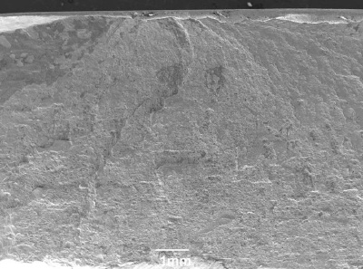 SEM image of a fracture origin (top).