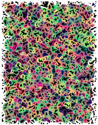The result of pore boundary tessellation for a partially sintered ceramic. Each cell features a central pore section, colored black and an orange cell boundary.