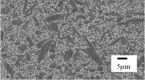 From SEM Micrograph of Tape Cast Silicon Nitride