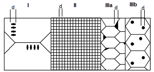 Transformation toughened zirconia schematic microstructures
