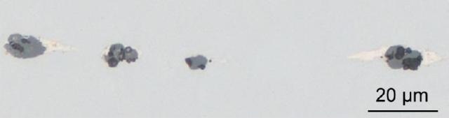 Figure 2. LM image of 16MnCr5 steel grade showing a conspicuous inclusion stringer. Note that the particles consist of at least three different phases (clear white and different shades of grey).