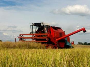 Adhesives, Agricultural, Construction